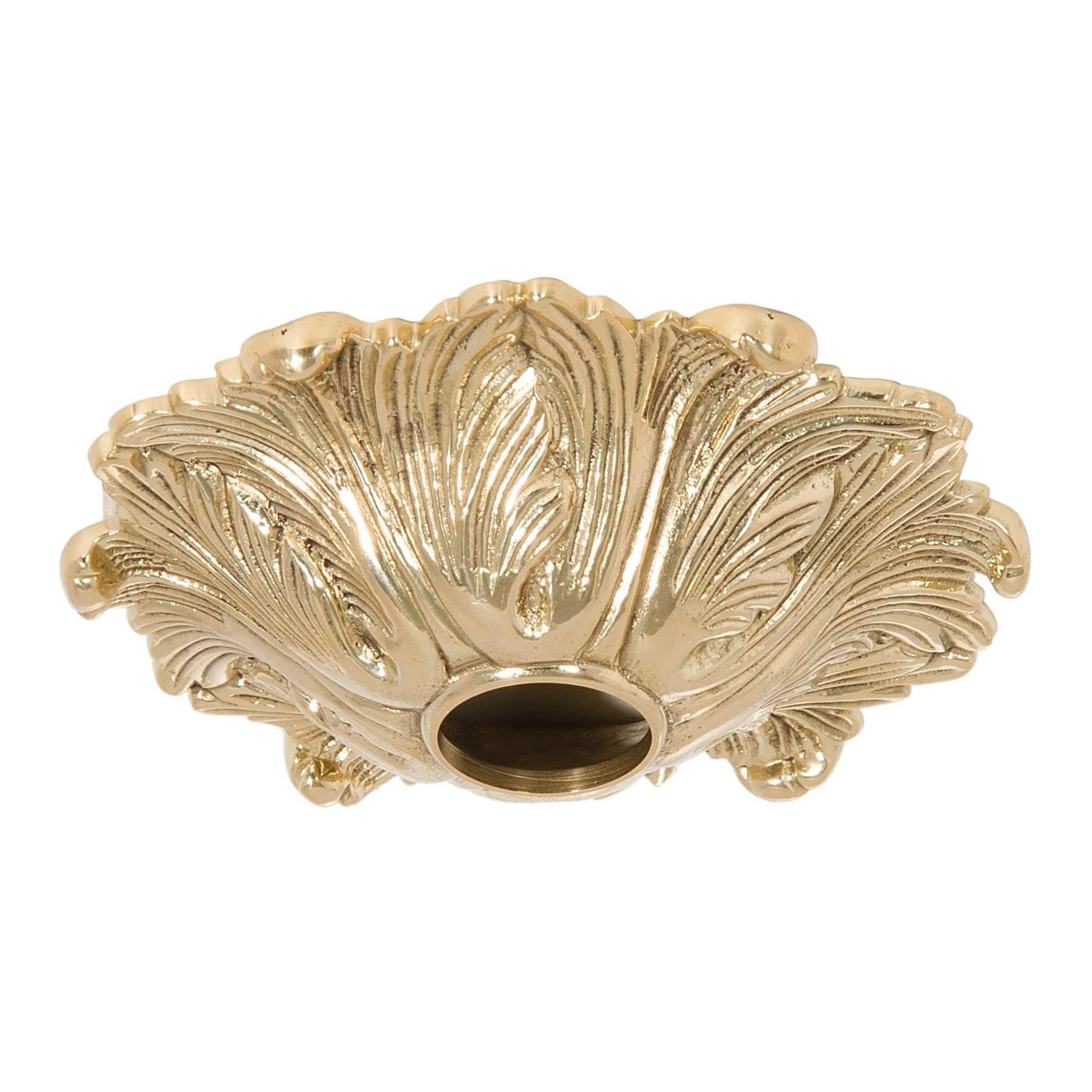 Decorative Ceiling Canopies