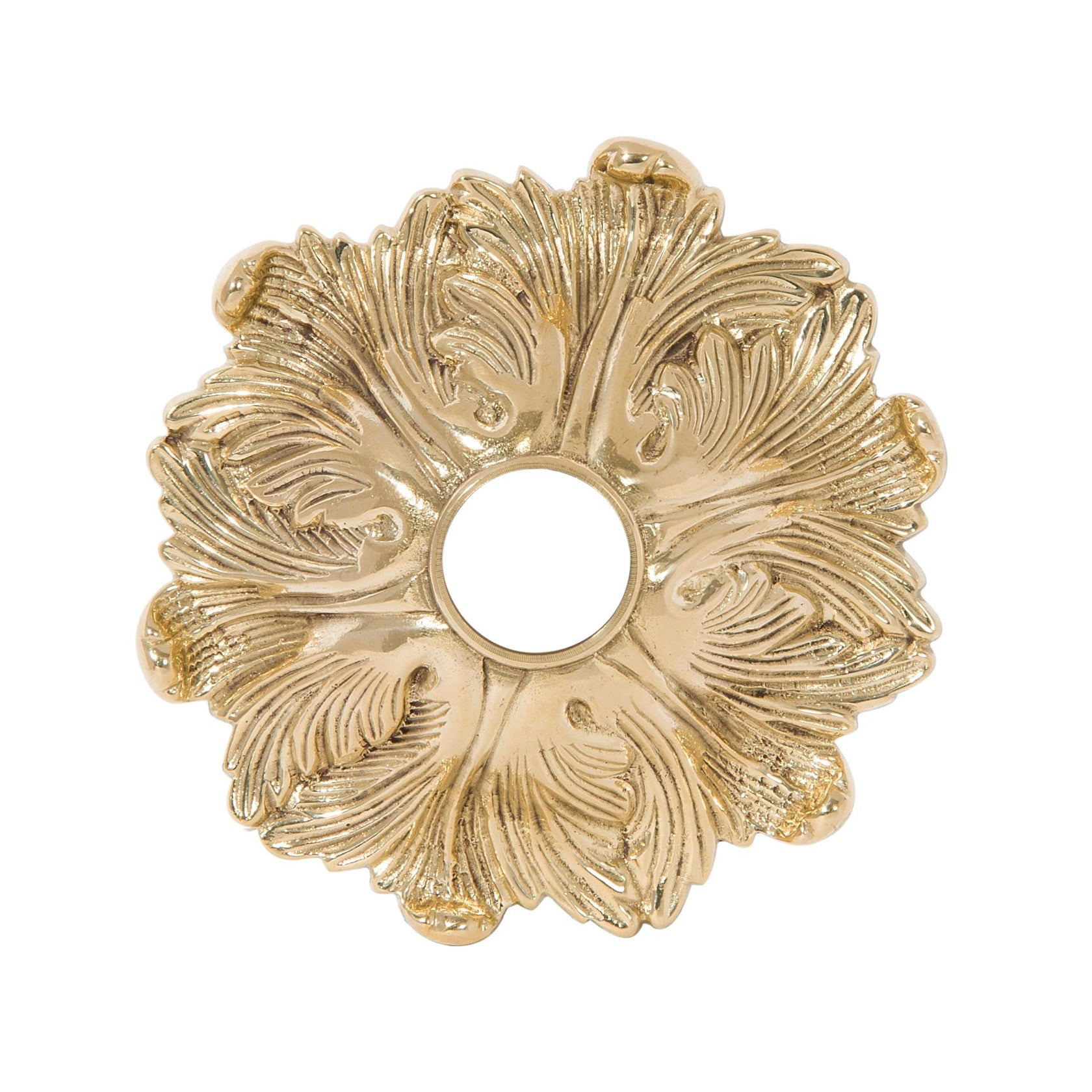 Decorative Ceiling Canopies